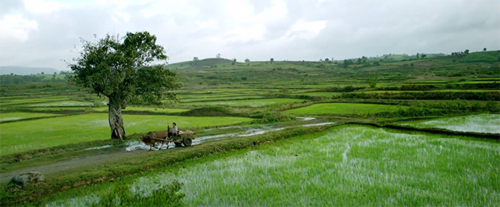 Bắc[-]bộ[-]trời[-]mát,[-]Trung[-]bộ[-]mưa[-]giảm[-]nhanh[-]